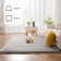 Rectangle Solid Colour Memory Foam Rug