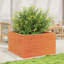2 Wood Planter-100491942-100491946