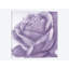 « magnificence ii », impression sur toile-29483272-73551113-73555196