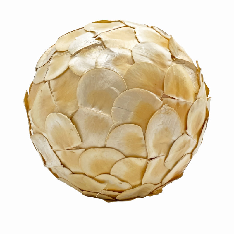 Boîte de 4 pommes de pin décoratives conservées Jayceon - blanc mat