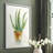 Succulent IV Framed Print - Solid Wood-1904633929-1904633926