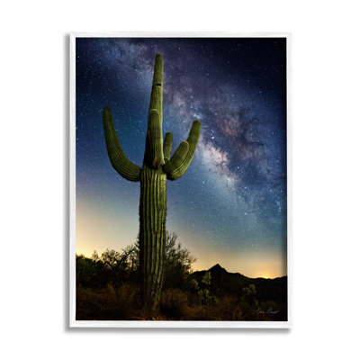 " Cactus And Nebula " by David Drost
