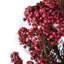 Arrangement de fleurs de riz