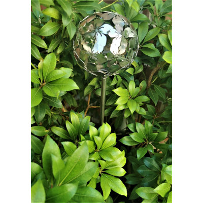 Cayo Stainless Steel Gazing Ball