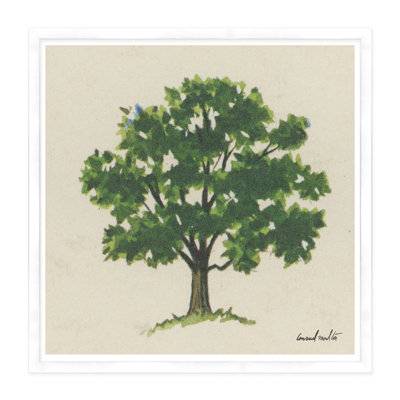 Oak Tree Print
