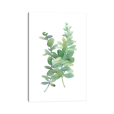 Eucolyptus I by Carol Robinson - Painting on Canvas