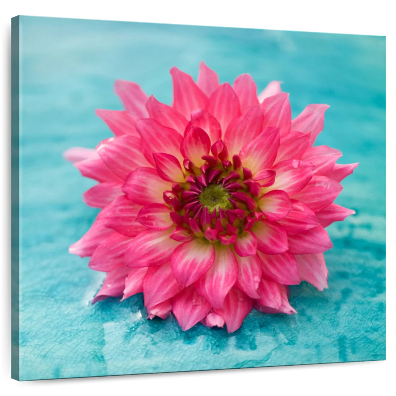 Harnek magnifique fleur rose