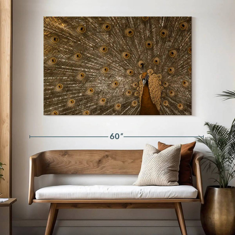 Brampt Peacock Feather In Full Display, 34" H x 51" W