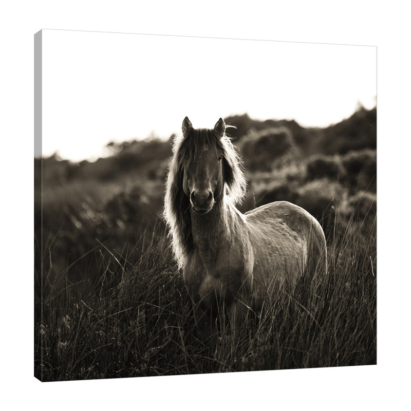 «Evening Glow Crop», toile tendue par Aledanda, H 24 po x l 24 po x P 1,5 po