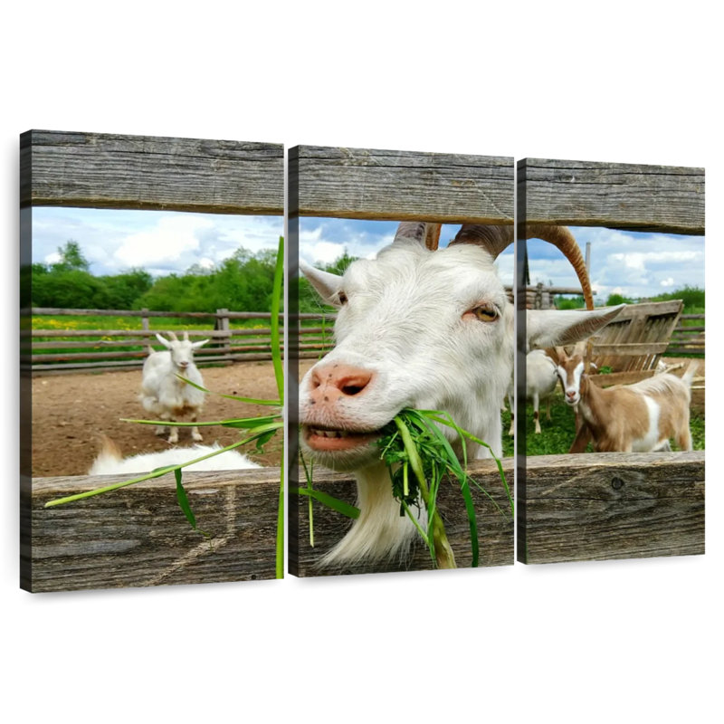 Brampt Euphoric Goat, 48" H x 74" W