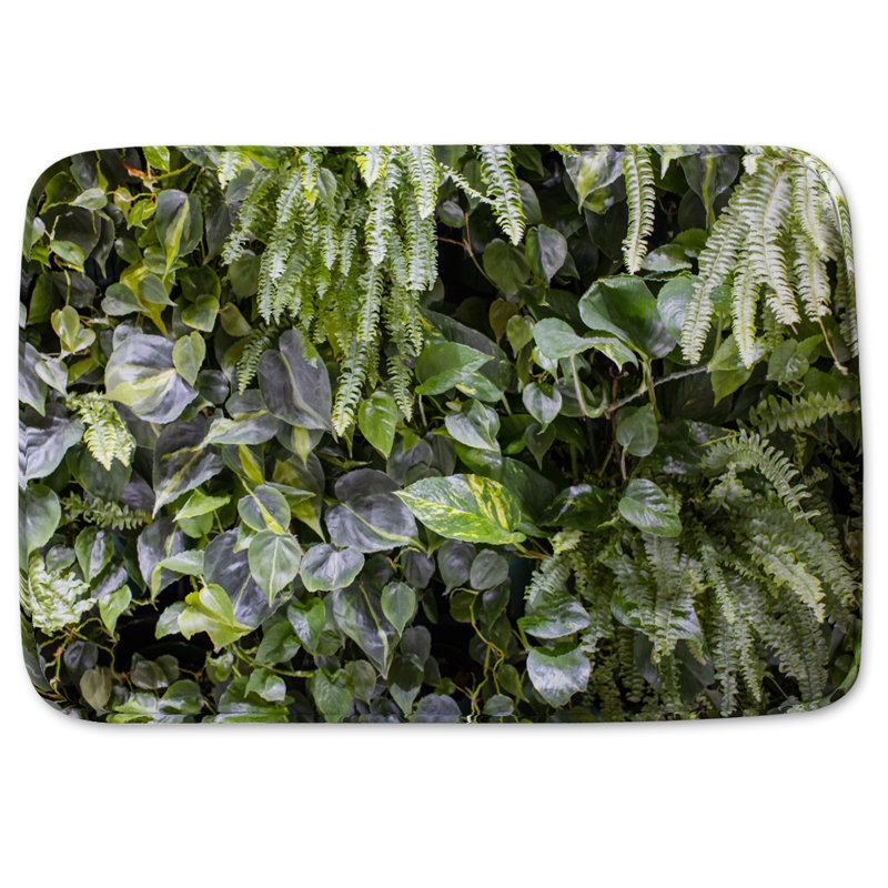 Donnette Non-Slip Bath Rug