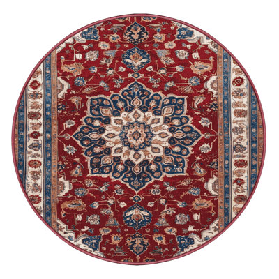 Machine Washable Persian Brown Area Rug