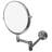 Alexeia Metal Flat Wall Mirror