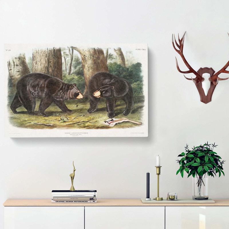 American Black Bears - Wrapped Canvas, 35cm H x 50cm W x 3cm D