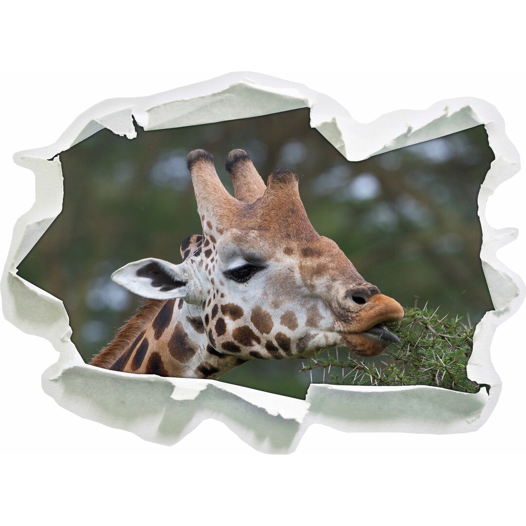 Schöne Giraffe frisst Wandaufkleber