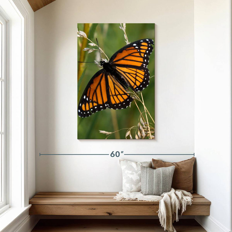 Brampt Monarch Butterfly Up Close, 45" H x 30" W