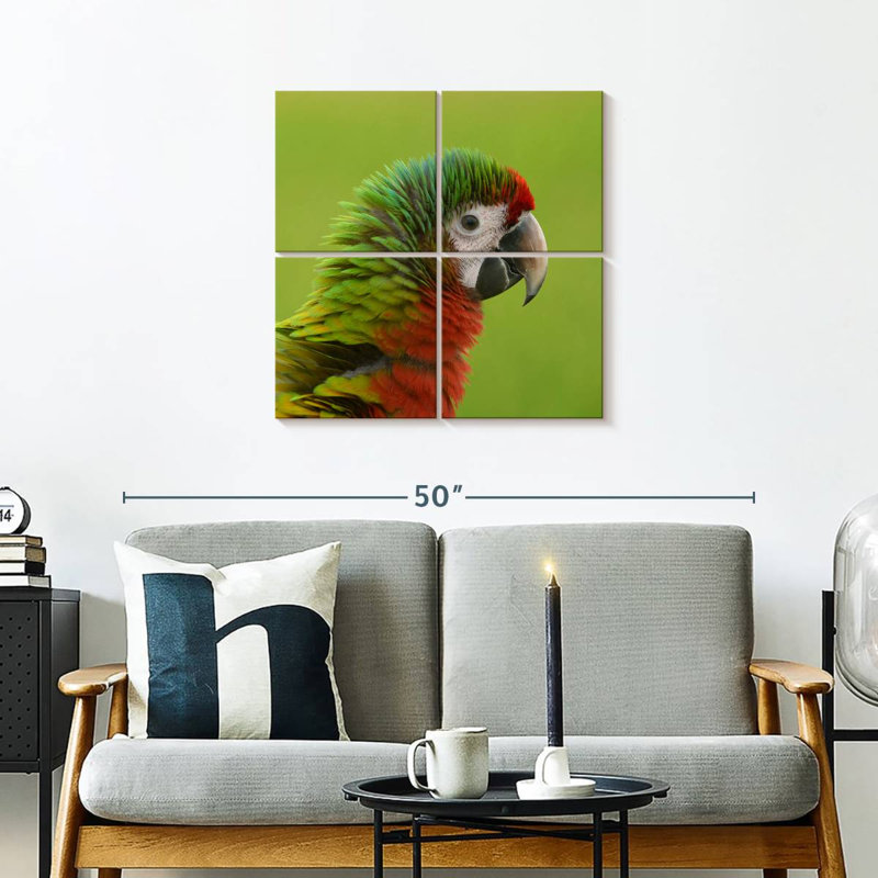 Brampt Macaw Bird Head, 26" H x 26" W