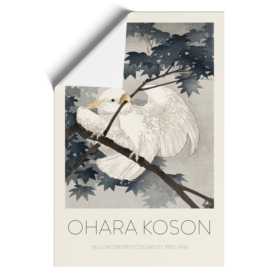 Yellow Crested Cockatoo in a Tree Print by Ohara Koson - Frameless Print