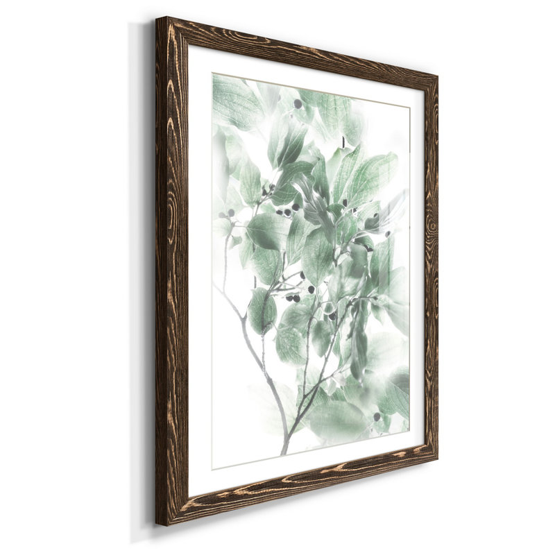 Berry Blush I - cadre photo, impression sur papier, Noyer, H 31,5 po x l 23,5 po x P 1,5 po
