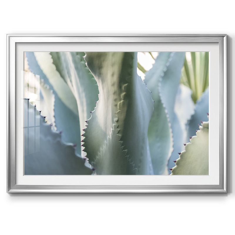 Blue Agave II, impression sur papier encadrée, Argent, H 15 po x l 21 po x P 1,5 po