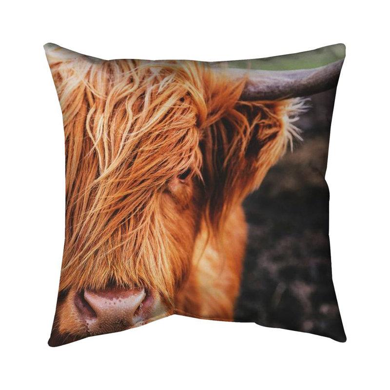 Portrait highland cow - 18"x18" Outdoors Throw pillow - Spun poly - Print on demand, Amber