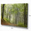 « green beach forest chemin », reproduction de photo sur toile tendue-18440146