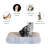 Cofi Scratching Post