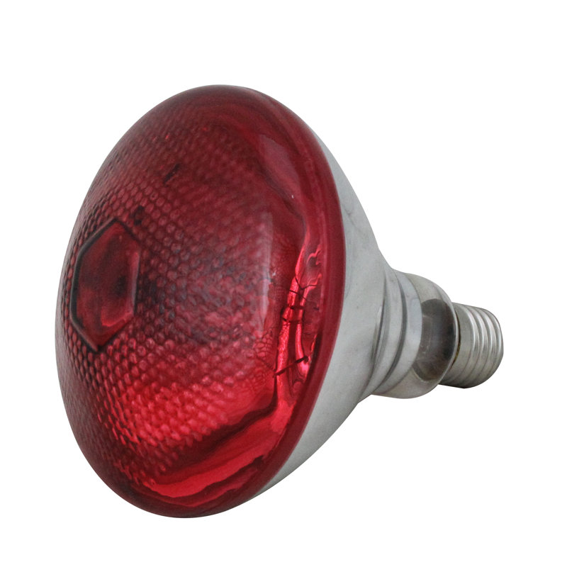 Ampoule incandescente 100 Watts