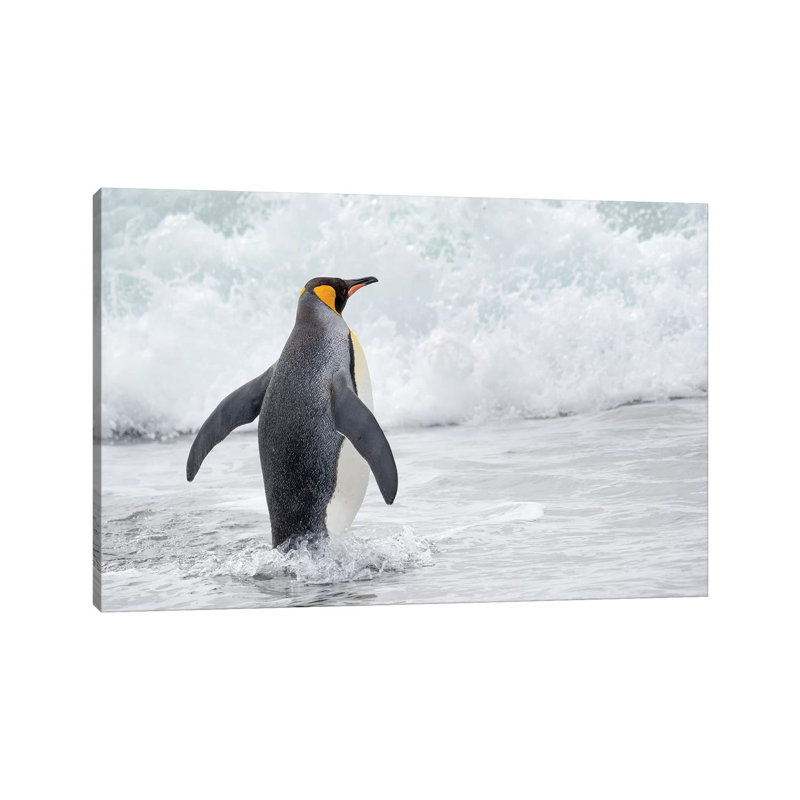 King Penguin Rookery On Salisbury Plain In The Bay Of Isles. South Georgia Island by Martin Zwick - Wrapped Canvas Print