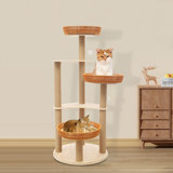 Cat Scratching Posts& Nest