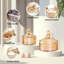 Pots d'apothicaire avec couvercles Qtip-111936726