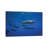 Dolphins by Barathieu Gabriel - Wrapped Canvas Photograph-1950173497