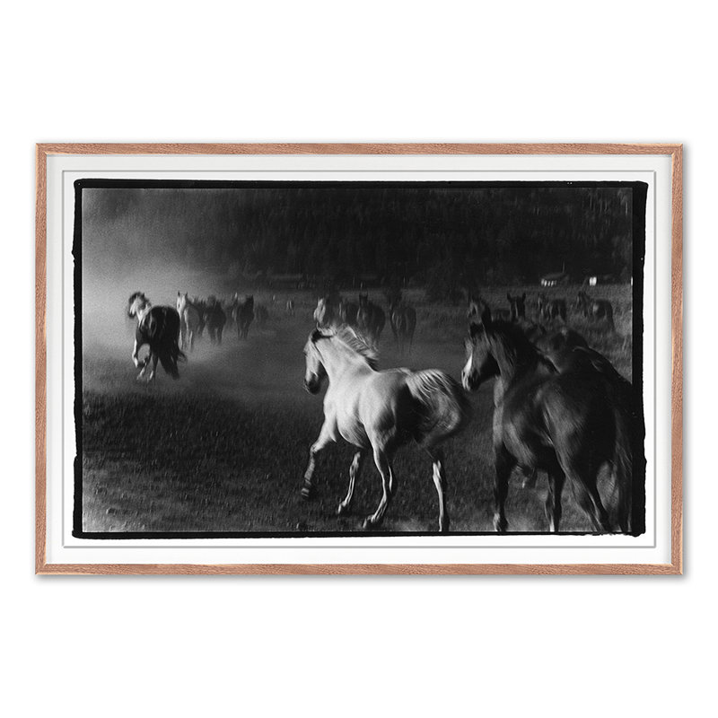 Hoof Dreams Print by Raab, Amy, 30'' H x 45'' W, Walnut Single Picture Framed