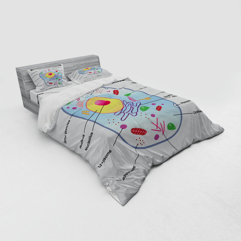 Modern & Contemporary Polyester Duvet Cover, Queen Duvet Cover + 3 Additional Pieces