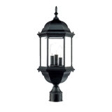 Pruitt Lantern Head