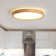 Damiyon 1-Light 30cm Modern Dimmable LED Energy-Saving Ceiling Light Round Flush Mount Lamp