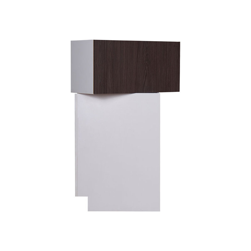 Armoire murale rabattable à une porte WFL3018