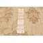 Tapis crème noué à la main unique 6 pi 4 po x 9 pi 7 po Chobi