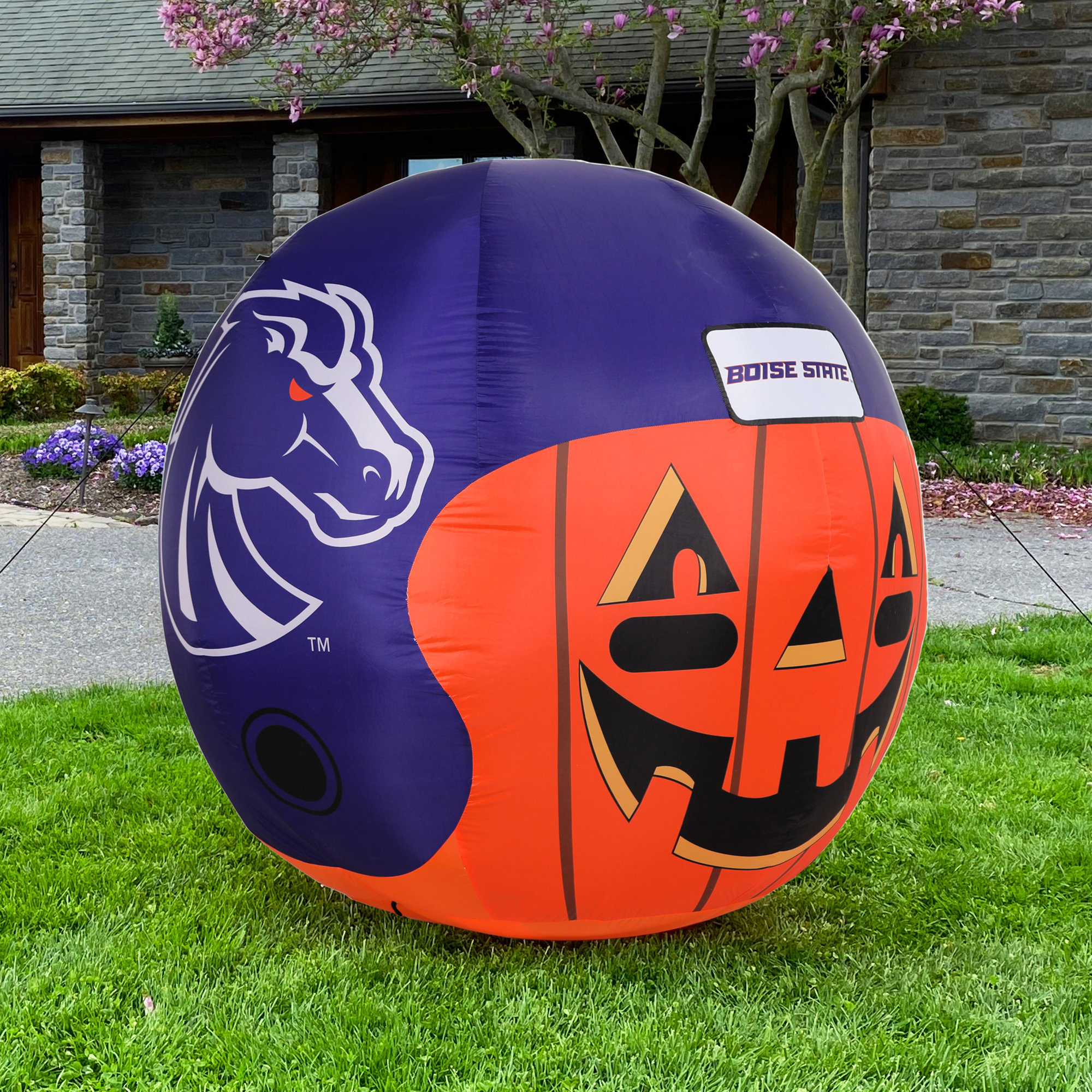 Sporticulture 4-ft Pre-Lit Pittsburgh Steelers Jack-o-lantern