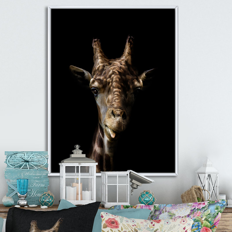 Gros plan sur une girafe sur fond noir, H 12 po x l 8 po, Toile encadrée flottée blanche