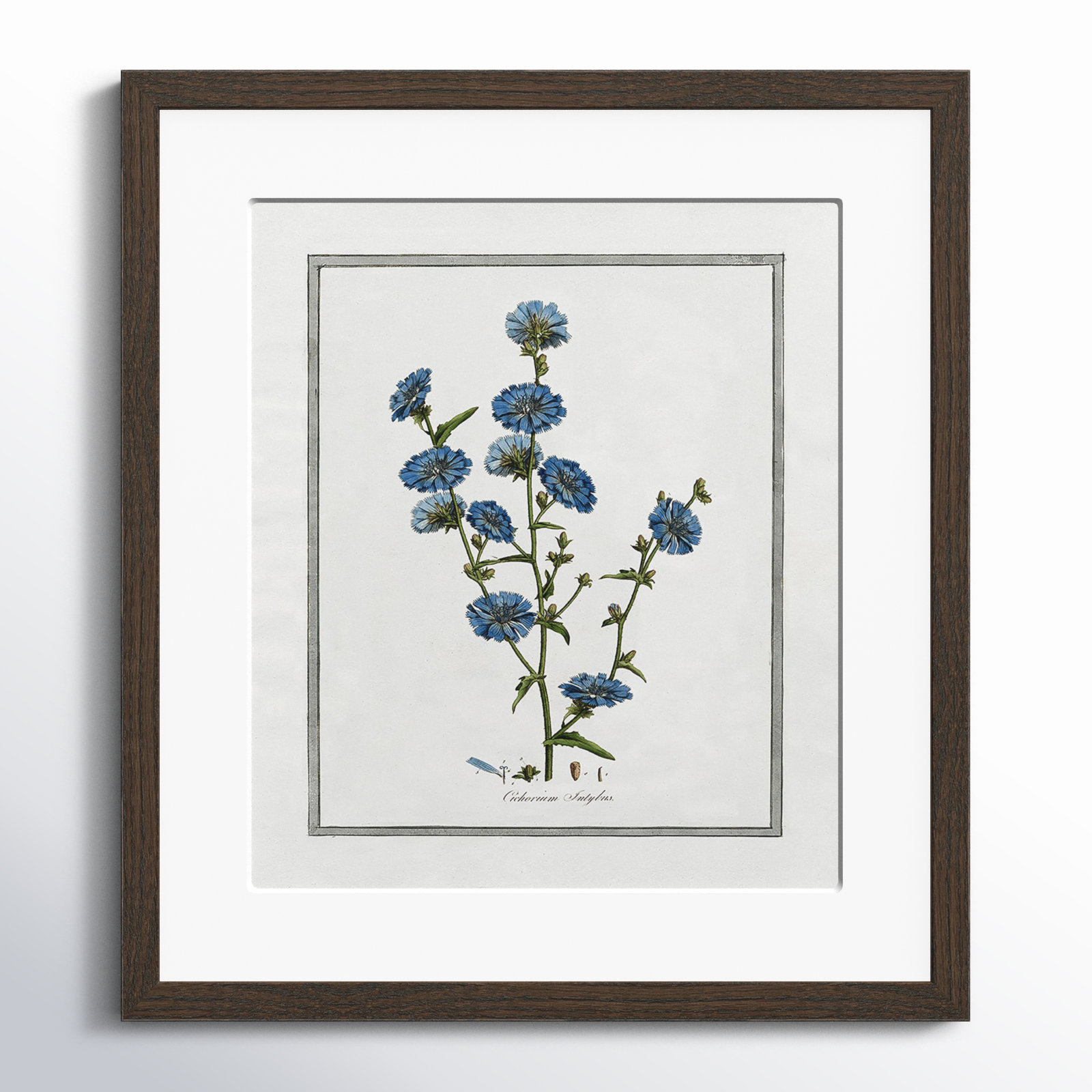 Colombe "Soft Botanical I" Print, 13" W x 15" H, Walnut Framed