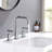 Widespread 2-handle Bathroom Faucet with Drain Assembly-73458821