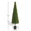 Topiaire Dorian 70,8 po Dorian