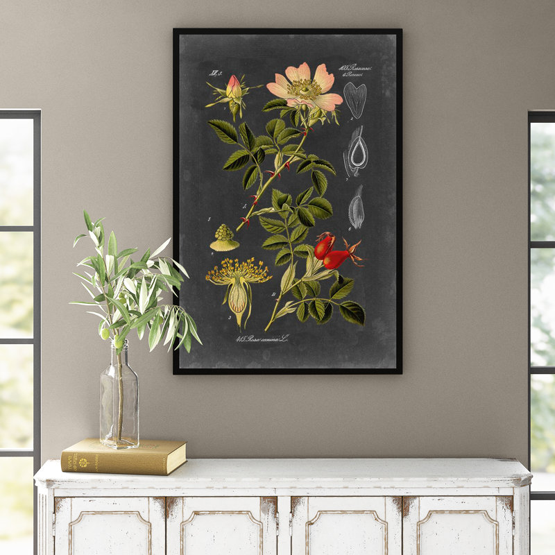 Midnight Botanical I by Vision Studio - Print, 122cm H x 81cm W, Wrapped Canvas