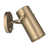 Champagne Bronze