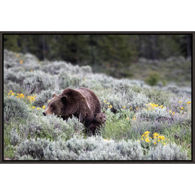 Curt Stacy Howell " First Spring " by Curt & Stacy Howell