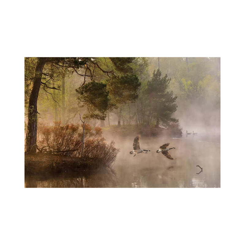 Goose Fight by Anton Van Dongen - Wrapped Canvas Print