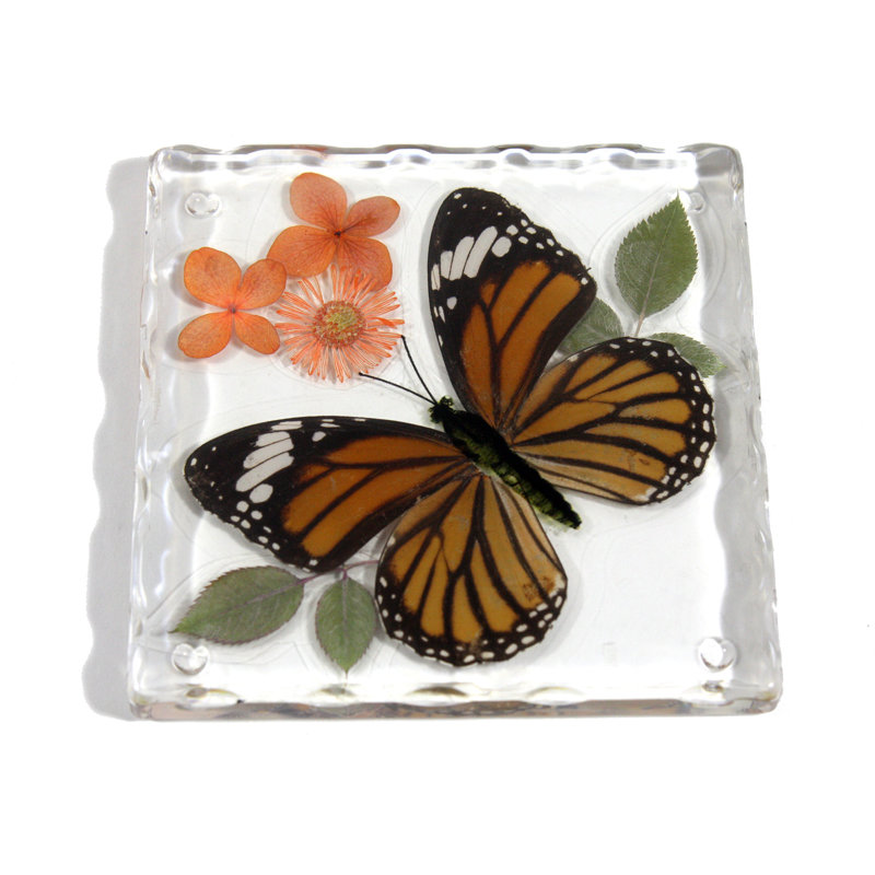 Silicone Square 1 Piece Coaster