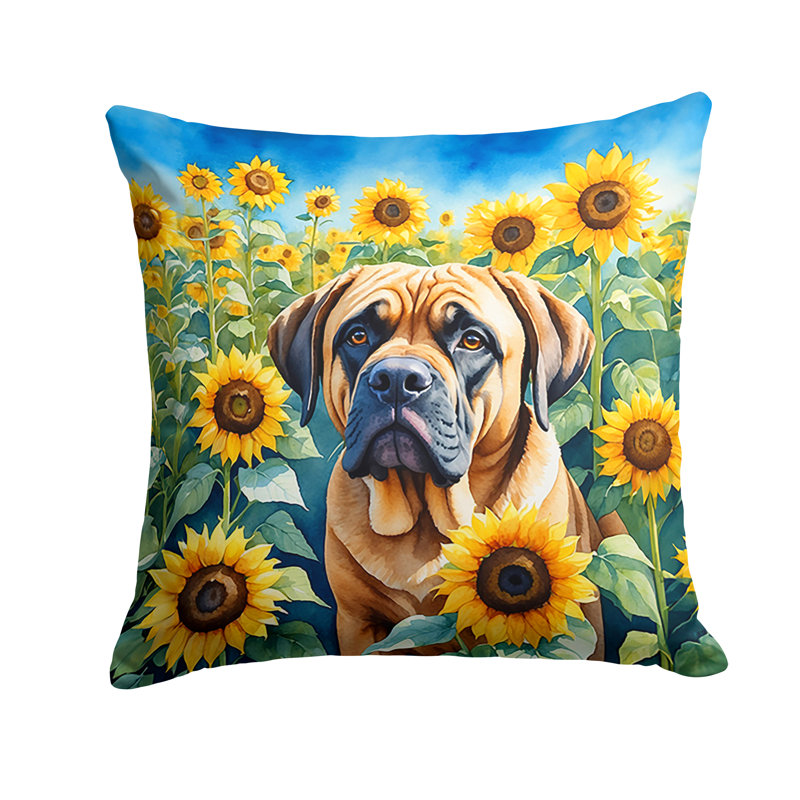 Coussin décoratif intérieur / extérieur Autre / Sans motif, H 14 po x l 14 po