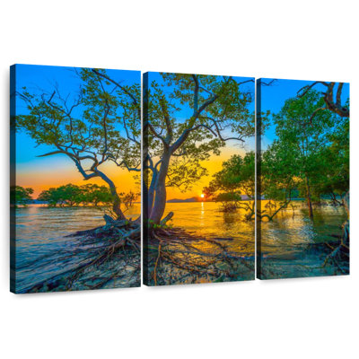 Harnek Mangrove Sunshine